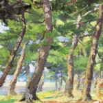http://www.namboohee.com/files/gimgs/th-58_010_궁평리-해변의-소나무I_120x45cm_1999.jpg