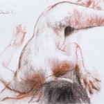 http://www.namboohee.com/files/gimgs/th-73_006-1_50x40cm-Pastel-on-Grey-Paper-2002.jpg