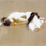 http://www.namboohee.com/files/gimgs/th-73_010-1_65x50cm-Pastel-on-Grey-Paper-2002.jpg